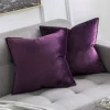 Xiao Fei Bian-Egish Purple