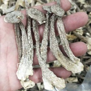 南北食用菌干货源头厂家 批发散装500克农产品鹿茸菇 量大从优