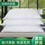 透气四季舒适40s枕套