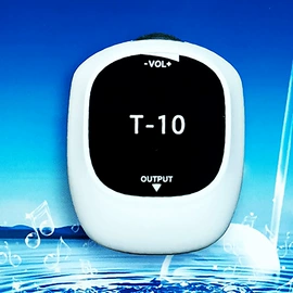 乐器配件;弹拨类乐器