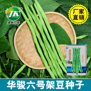 �o��ܶ��N�ӟo�z���۲��r�Nֲܿ���N��ԭ�S�F��400g̩���ܶ��N��