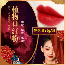 5g�ڼt�۲�������ֲ�����{ɫԭɫ���ֹ�ɫ�ۿڼt��diy׃ɫ��