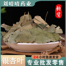 批发新货无硫中药材 银杏叶 支持药检 银杏茶 色青无杆