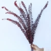 Red, 40-60cm