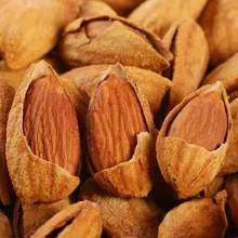�½��͵�ľ500g ��Ƥ�ք����������}�h���͵�ľ �Թ�