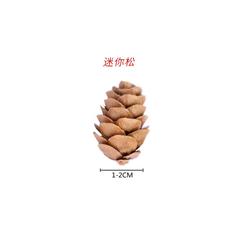 ➻Pine cones, natural pine cones, American pine, local pine, pine cones, Dalintou, pine flowers, pine cone crafts