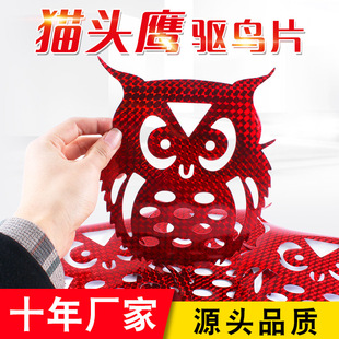 ؈�^���NƬ�tɫ��ճ�Nʽ�yɫ��B����Ƭ10Ƭ�D���W��Ƭ�̨��B