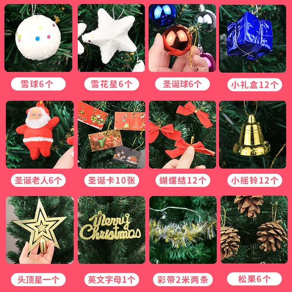 Christmas gift package one (80 species)