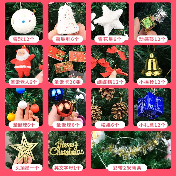 Christmas gift package one (128 species)