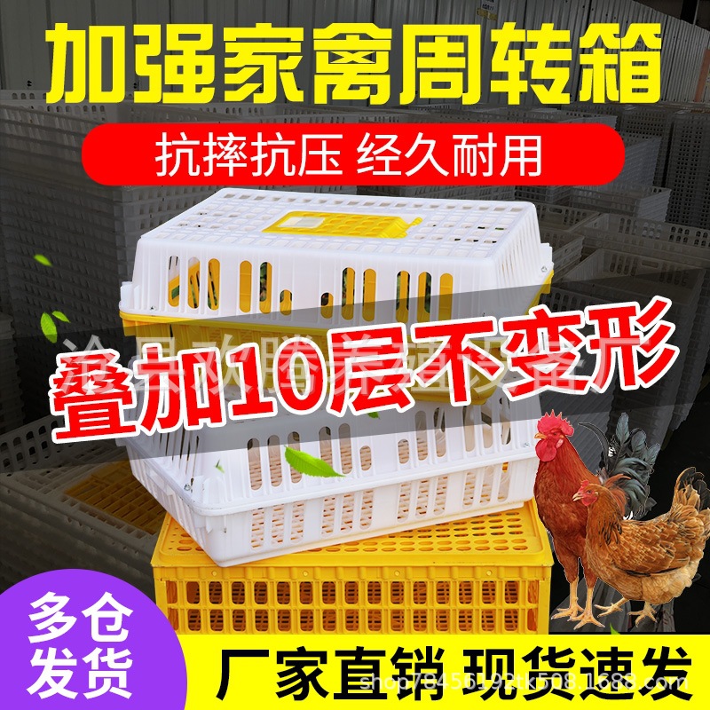 Entrega directa de fábrica jaula de transporte de pollo caja de rotación de pollo pato de pollo ganso paloma conejo cuadro de rotación Marco de pollo Marco de rotación de pollo