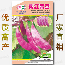 �ϼt�ⶹ�N�� �s10��ü���N�� �ϼܶ��N�� ��Ƥ���N�� ��Ƥ����