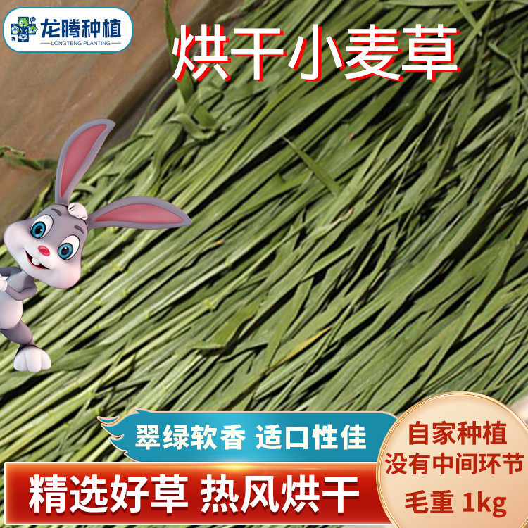 Manufacturer Supplies 2026 Wheat Hay, Dried Wheat Grass, Wheat Seedlings, Rabbit and Chinchilla Forage, Gross Weight 1kg