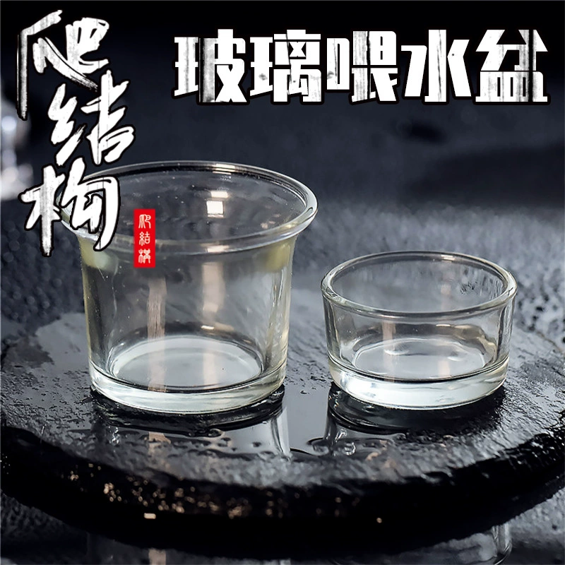 Рептилия Стекло Водный бассейн Отшельник Краб Восхождение Домашнее животное Хомяк Мед Кенгуру Ящерица Хранитель Дворец Змея Ванна Паук Скорпион Живой корм Бассейн