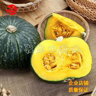 �����m�ϹϷN�� ����Nֲ �����ζ �׽Y���׷N ����Ŵ�ϹϷN