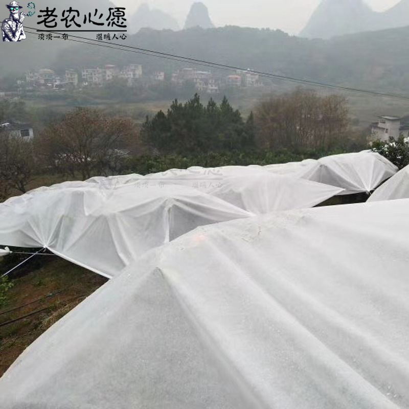 厂家供应防水布 果树柑橘透气轻便植物农业防水布 樱桃蓝莓防雨布