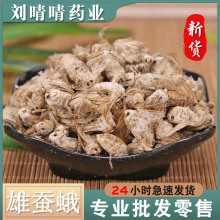 诚信中药材雄蚕蛾 晚蚕蛾 泡酒原料 支持药检 一件代发 量大价优