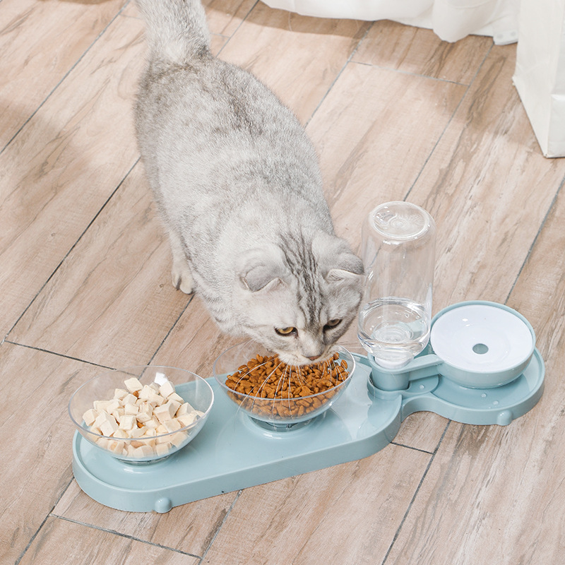 Cat Bowl Pet alimentador automático de agua potable transparente doble tazón de comida para gatos tazón de perro oblicuo protección del cuello de tres usos Pet Bowl