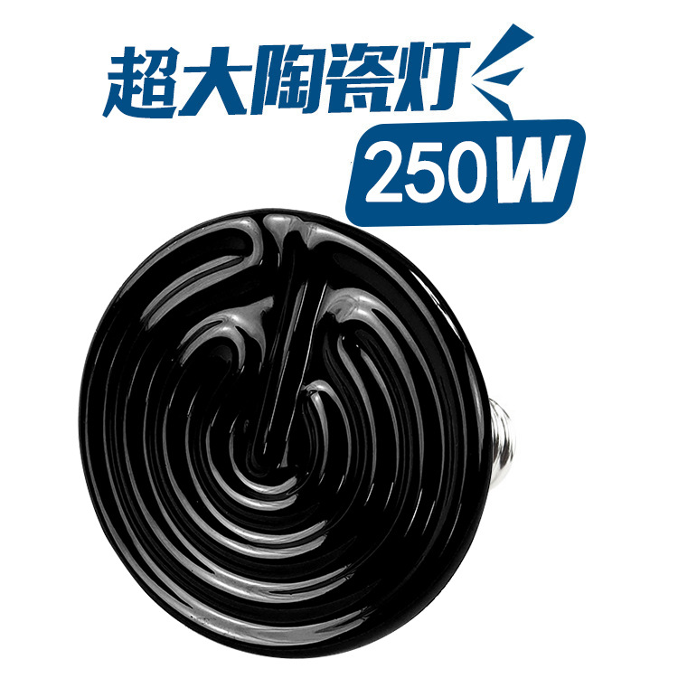 초대형 세라믹 램프(250W)