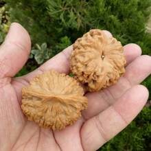 ���e�������¹�ñ���Ҫ{���^ ������� ����ұ��� �����������l