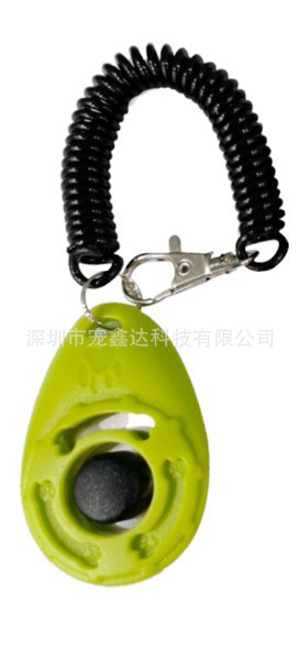 잔디 녹색