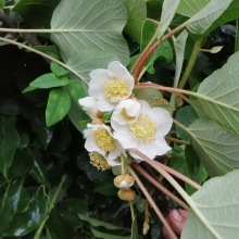 �J�����ڷی��õ��ۻ��ۼtꖴ�������J���һ���