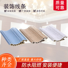 6��������6�����b�6���֠�ȹ��35߅��20СꎽǏS���N��