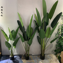 ���Wins�L�Ӽҿ͏d���ͷ���[�O����С�����˽�