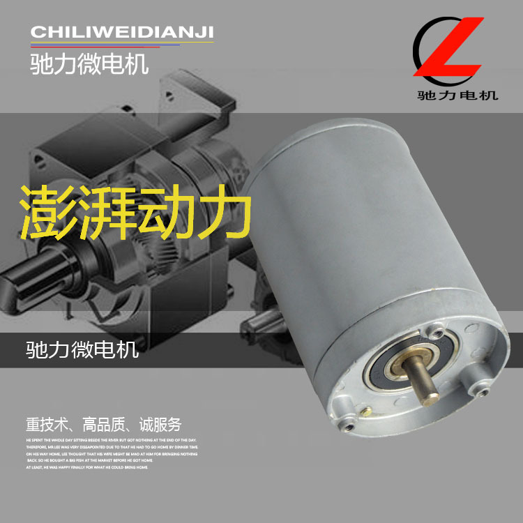 厂家现货供应 钢管直流电机 微型有刷直流电机 按摩器电机