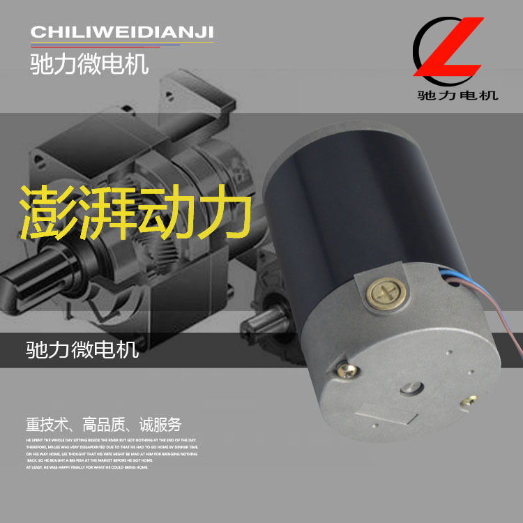 工厂供应专业制造微电机 有刷直流电动机 余姚微电机 微电机
