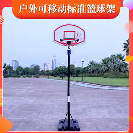 青少年室内篮球架户外可升降儿童篮球架 成人标准篮球框批发