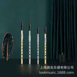 NAOMI爱尔兰哨笛 初学者入门款六孔竖笛 C调D调直笛跨境电商专供