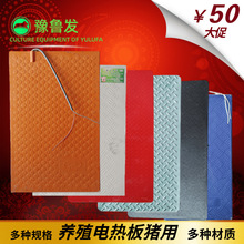 批发仔猪电热板猪用宠物恒温加热板 猪场养猪兽用设备器械加热板