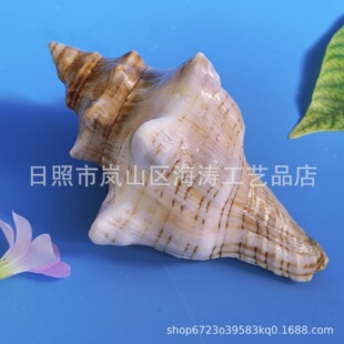 ��Ȼ����ؐ���S�����l�����������ˮ���~���b��׽̘˱�DIY