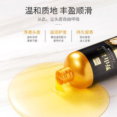 Se Nana Ginger Shampoo Refreshing Shampoo Moisturizing Root Smoothing Conditioner Set Manufacturer Wholesale