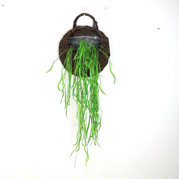 Green aquatic plants