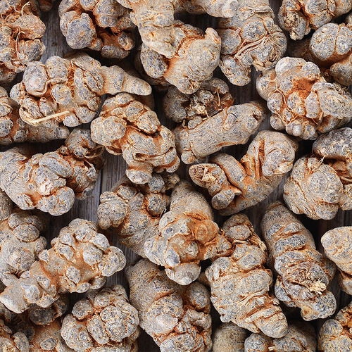 Yunnan Wenshan Panax notoginseng Wholesale from place of origin Panax notoginseng powder Street stall Chinese medicinal materials Panax notoginseng Foot dried Panax notoginseng head