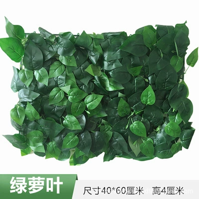 Green leaf