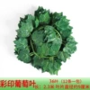 Color printed 36 large leaf grapes (12 packages)