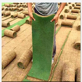 盆栽;园林果树;种子