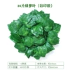 Color Seal 36 Big Leaf Luo (12 packages)