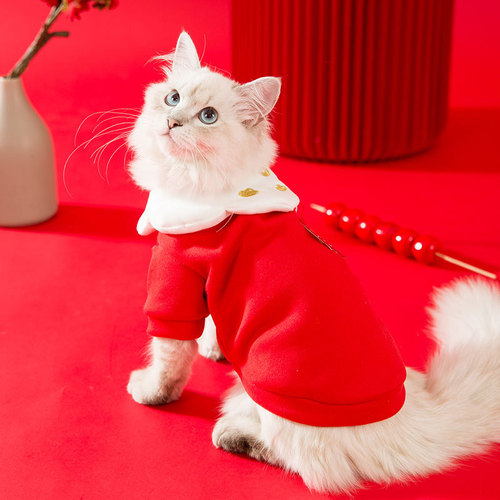 Pet Clothes Puppy New Year Sweater Autumn Corgi Bichon Small Dog Cat Biped Clothes Autumn Winter Clothes Wholesale