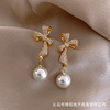 Silver needle, small design universal fashionable earrings, silver 925 sample, internet celebrity