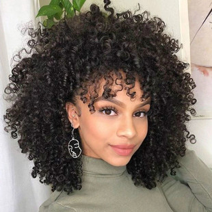 African Small Roll Wig Short Women's Fluffy Black Explosive Head Brazilian Fans Chemical Fiber Wig AliExpress Women's Headgear