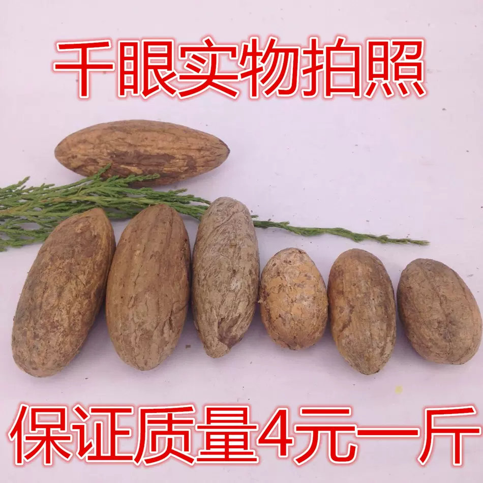 原籽原料胖果大果按斤手把件翡翠绿色单颗千眼菩提子练手禅意风格