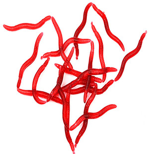 �S��ֱ�NС���4cmС�t�x�~�D���ܛ�D�������D·���D