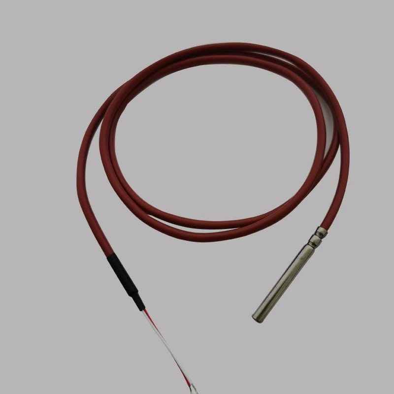 Расчетный инвентарь Специальная фабрика прямых продаж pt100 термическое сопротивление температурный зонд