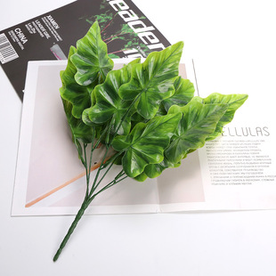 ����ֲ��Gֲ���Բ廨�b��~��7�����z�����~�R���~