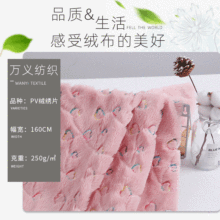2024年厂家直供现货新款PV绒绣片烫金烫银秋冬服装玩具毛绒面料