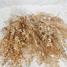 �����ɫ�}�Q���}�����ȼ����y�����~���F�������ϼٻ���c �b�