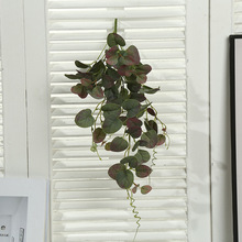 ����ֲ���߲�����ٗl��ھGֲ�~�ӼҾӻ�Y��չ�bٻ��S��ֱ�N